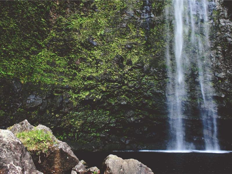 sudoku solving methods screenshot 5