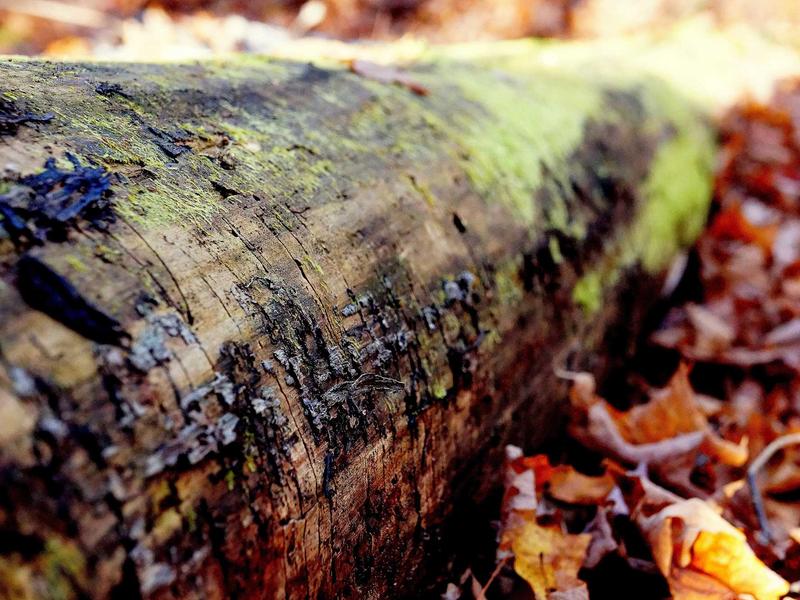 sudoku pattern learning screenshot 5